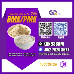 Sell New BM.K/ CAS:28578-16-7/ PM.K/5449-12-7 / Direct Manufacturer
