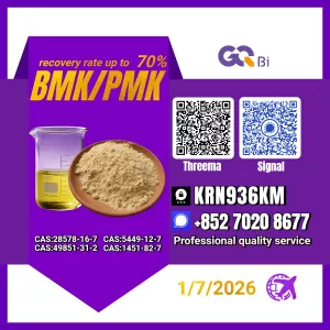 Sell New BM.K/ CAS:28578-16-7/ PM.K/5449-12-7 / Competitive Price