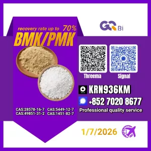New BM.K/ CAS:28578-16-7/ PM.K/5449-12-7/ Trusted