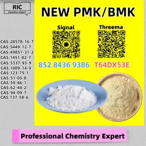 Rich export exposure P.MK 28578-16-7 B.MK CAS 5449-12-7
