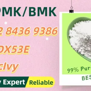 Worldwide Trading Vendor 28578-16-7 Powder 5449-12-7 P.MK Oil