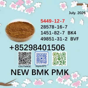 Efficient cas 5449-12-7 and 28578-16-7 BMK PMK powder with bulk supply