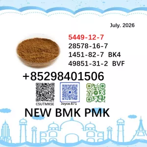 BMK 5449-12-7 Supplier High Purity 28578-16-7 PMK 1451-82-7 and 49851-31-2