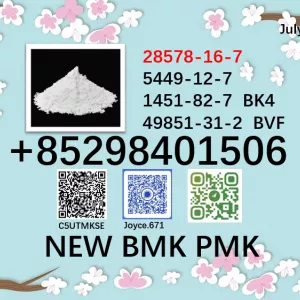 Factory supply BMK cas 5449-12-7 / 28578-16-7 PMK powder BK4 BVF with high purity