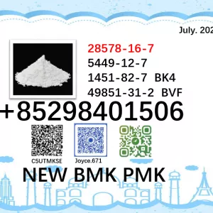 World Trade Vendor BMK PMK Powder CAS 5449-12-7 and 28578-16-7