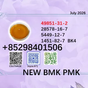 Best price cas 5449-12-7 and 28578-16-7 BMK PMK powder