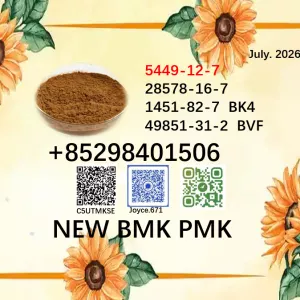 Fast delivery 28578-16-7/5449-12-7 PMK BMK Powder for urgent orders