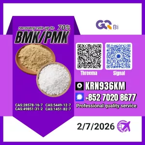 Procurement Services New PM.K 28578-16-7/ BM.K CAS:5449-12-7/