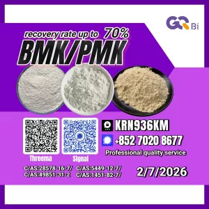 New PM.K 28578-16-7/ BM.K CAS:5449-12-7/ End-to-End Service