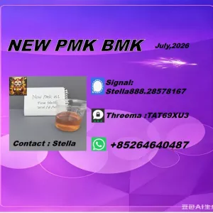 Cross-border connectivity PMK 28578-16-7 expanding global reach
