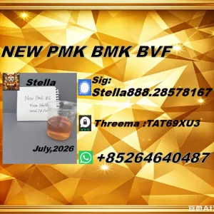 PMK CAS 28578-16-7/ synchronized jointly with BMK/ CAS 5449-12-7/