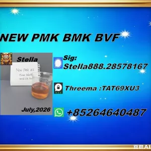 New PM.K 28578-16-7/ BM.K CAS:5449-12-7/ Worldwide Network