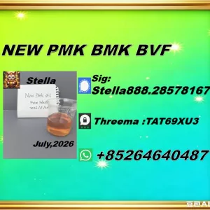 facilitating circulation New PM.K 28578-16-7/ BM.K CAS:5449-12-7/