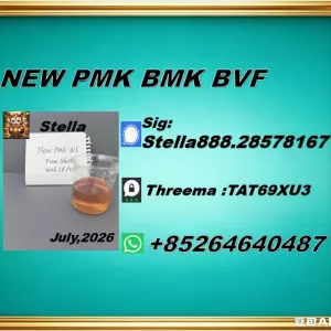Trusted Chemical Exporter New PM.K 28578-16-7/ BM.K CAS:5449-12-7/