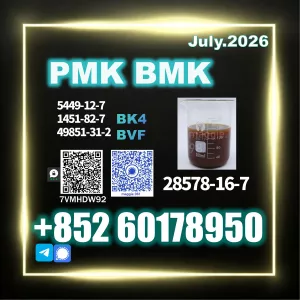 New PMK CAS 28578-16-7 BMK Strong logistic