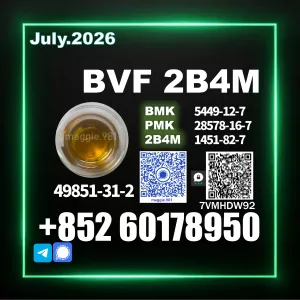 BVF CAS 49851-31-2 BK4 1451-82-7 Premium quality