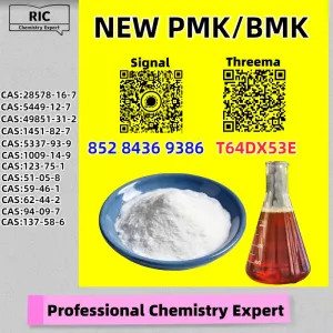 Excellence-Driven Supplier 28578-16-7 5449-12-7 P.MK B.MK