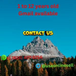 Top 11 Platforms to Purchase Aged Gmail Accounts in the USA