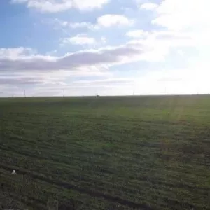 фасадній земельній участок