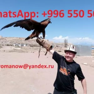 Guide, chauffeur au Kyrgyzstan, tourism, voyages, excursions, balades aux montagnes
